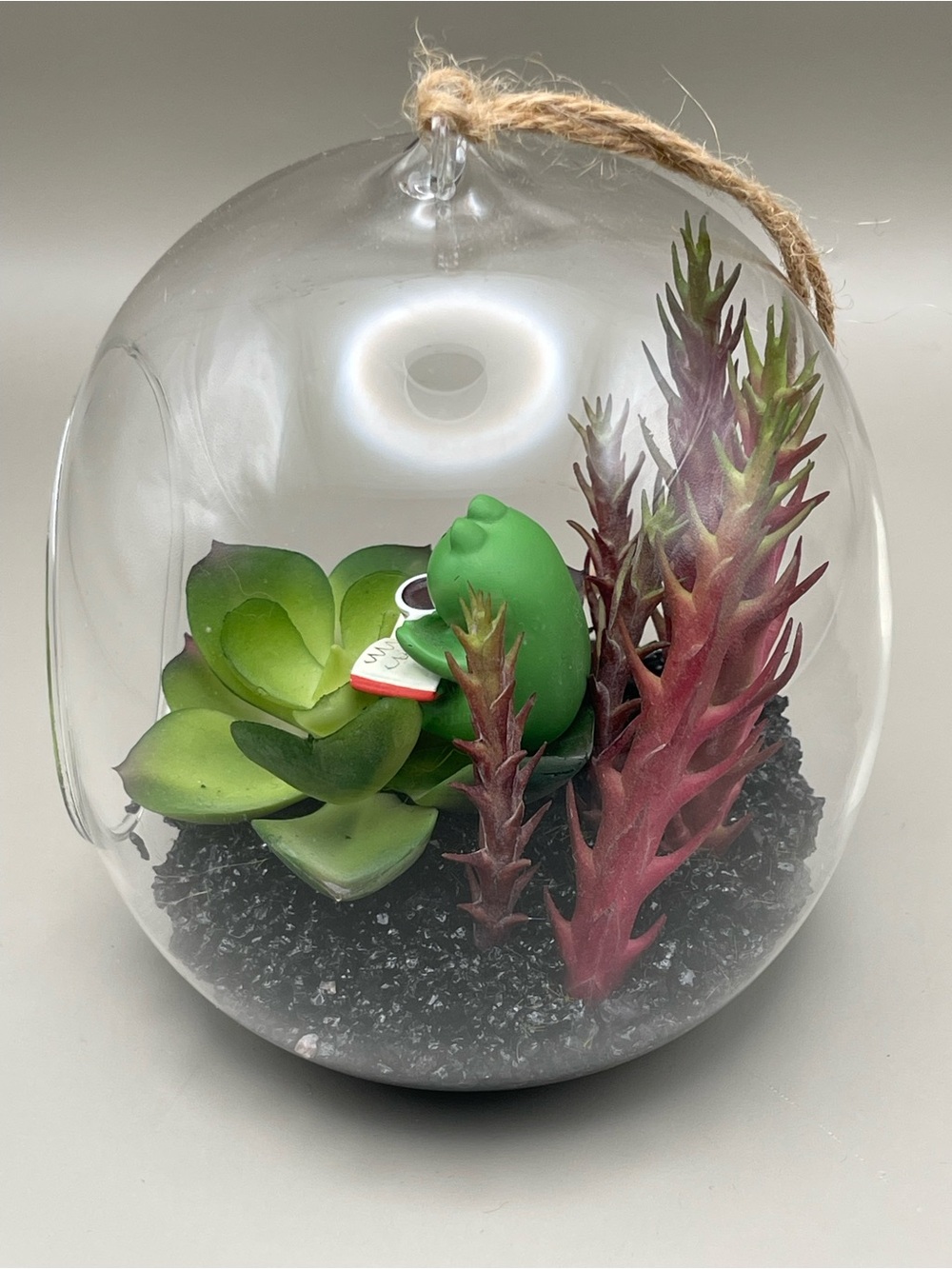 🐸 Happy Place Terrarium – Hanging Glass Decor ☕️📖 - Picture 4 of 8
